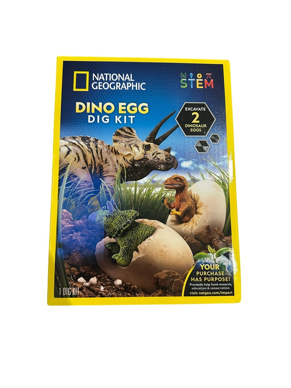 National Geographic dino egg dig kit